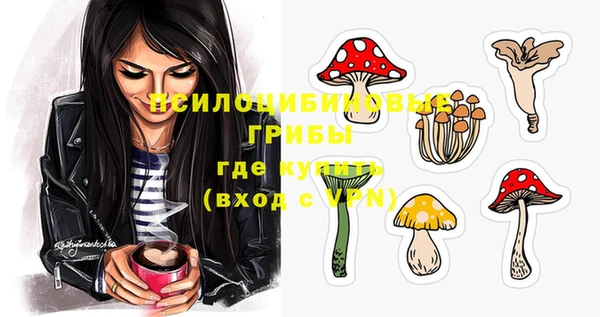 скорость Баксан