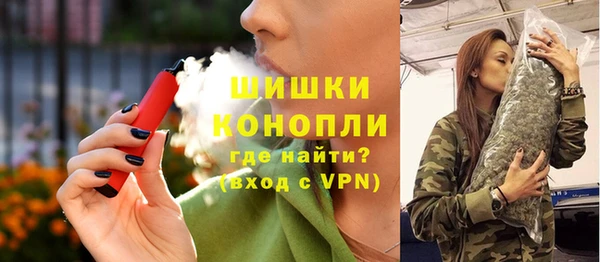 индика Балахна