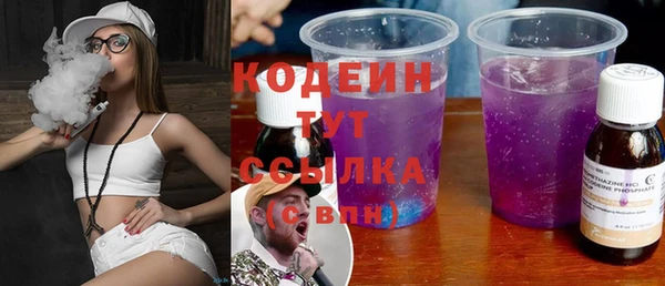 индика Балахна