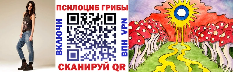 Галлюциногенные грибы прущие грибы  Купить где  Элиста 