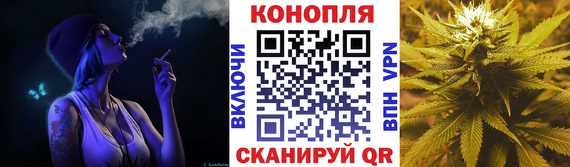 Шишки марихуана план  Купить закладки  Элиста 